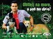 Marko Tolja Against Abandoning Animals