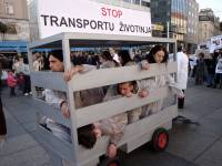 Prosvjed protiv transporta ivotinja 2009. [ 478.87 Kb ]