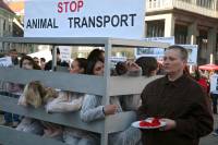 Prosvjed protiv transporta ivotinja 2009. [ 440.52 Kb ]