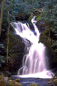 Waterfall [ 46.50 Kb ]