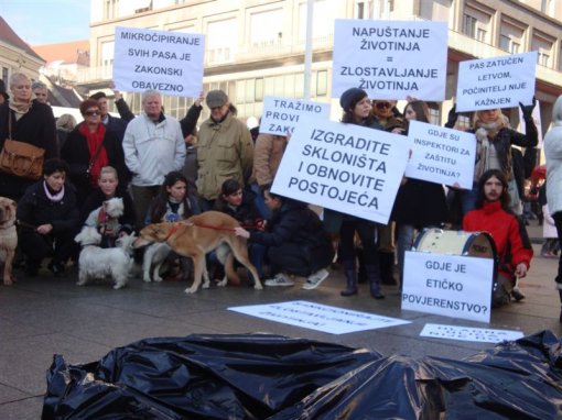 Protest for the implementation of the Animal Protection Act 3 [ 106.40 Kb ]