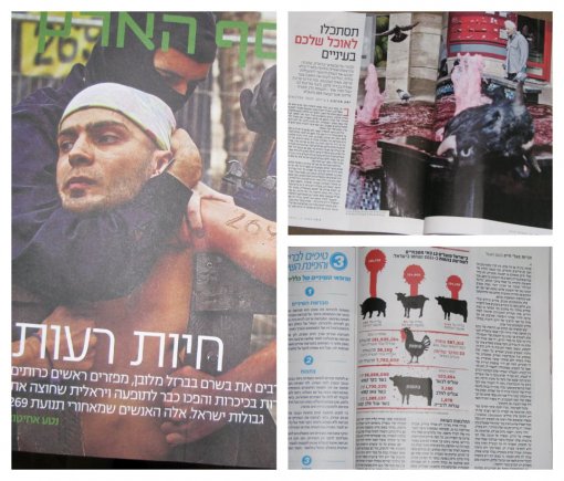 The Haaretz Newspaper - 269 story [ 157.93 Kb ]