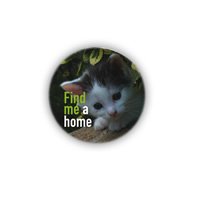 Find me a home