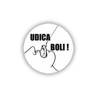 Udica boli