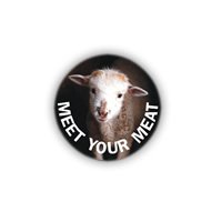 Meet your meat - ovca