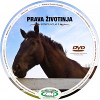 Kompilacija 3