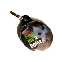 Find me a home