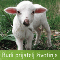Budi prijatelj �ivotinja - ovca