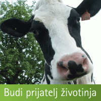 Budi prijatelj �ivotinja - krava