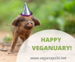 Veganuary - for a good start of the year