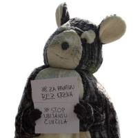 Zabrana uzgoja �ivotinja radi krzna [ 30.87 Kb ]