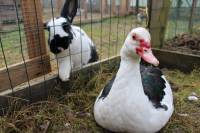 Posjet uto�i�tu Koki [ 122.77 Kb ]