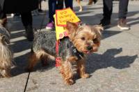 Korak naprijed, a ne deset natrag [ 202.63 Kb ]