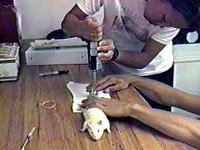 Pokus na mi�u [ 15.11 Kb ]