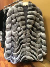 Behind the Fur Coat: The Story of Chinchillas in 20 Photos
