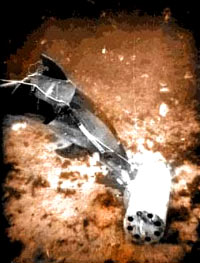 Dupin u akciji [ 28.55 Kb ]