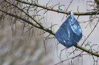 Plastika 1 [ 123.33 Kb ]