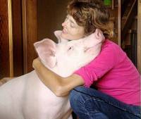 Odi, Ksenija, Koki [ 109.01 Kb ]