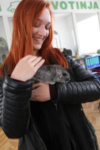 Udomljene �in�ile 10 [ 811.61 Kb ]