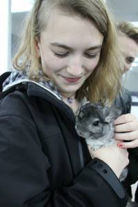 �in�ile u uzgoju 15 [ 254.21 Kb ]