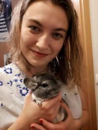 Rescued chinchillas in their homes [ 124.83 Kb ]