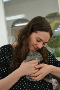 Spaseno 45 cincila [ 200.39 Kb ]