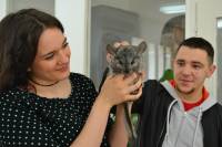 Spaseno 45 cincila [ 111.81 Kb ]