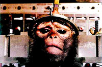 Vivisection 27(monkey) [ 49.31 Kb ]