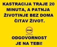 Udruge �lanice Mre�e za za�titu �ivotinja samo u 2017. spasile su 4899 pasa i ma�aka. Sada je red na tebi! Pi�i svojem gradu ili op�ini, bori se za uvo�enje obavezne trajne sterilizacije! Mo�e� pomo�i spasiti cijele svjetove jednim jedinim e-mailom! [ 31.80 Kb ]