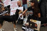 Psi i gra�ani ukazali na problem neprovedbe Zakona [ 231.92 Kb ]