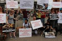 Psi i gra�ani ukazali na problem neprovedbe Zakona [ 279.26 Kb ]