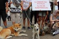 Psi i gra�ani ukazali na problem neprovedbe Zakona [ 255.35 Kb ]