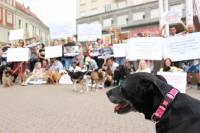 Psi i gra�ani ukazali na problem neprovedbe Zakona [ 174.55 Kb ]