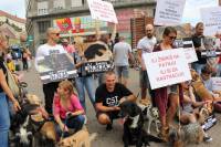 Psi i gra�ani ukazali na problem neprovedbe Zakona [ 315.57 Kb ]