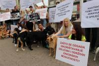 Psi i gra�ani ukazali na problem neprovedbe Zakona [ 253.32 Kb ]