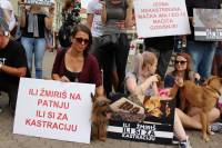 Psi i gra�ani ukazali na problem neprovedbe Zakona [ 262.75 Kb ]