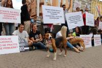 Psi i gra�ani ukazali na problem neprovedbe Zakona [ 284.96 Kb ]