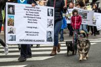 March for Animals 2019, photo: Uros Modlic [ 109.56 Kb ]