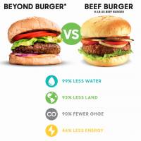 vege burger vs masni burger [ 177.25 Kb ]