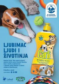 �arli vizual [ 71.27 Kb ]