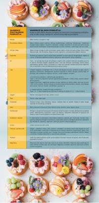 vizual 7 [ 548.00 Kb ]