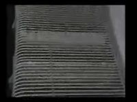 Video snimka beagleova [ 761.24 Kb ]