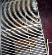 Undercover Beagle photo 13 [ 100.97 Kb ]
