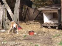 pas na lancu [ 86.70 Kb ]