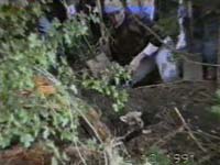 Lov - potjera za lisicom koja je izi�la iz svoga brloga [ 4.81 Mb ]