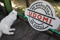 Tarik Filipovi�_predstavljanje kampanje [ 195.29 Kb ]