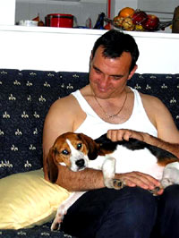 The beagle at home 13 [ 37.73 Kb ]