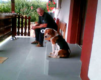 The beagle at home 30 [ 18.32 Kb ]
