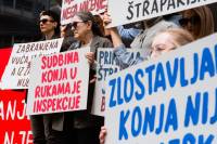 Okupljanje za spas konja od okrutnosti �traparijade [ 188.08 Kb ]