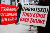 Okupljanje za spas konja od okrutnosti �traparijade [ 155.10 Kb ]